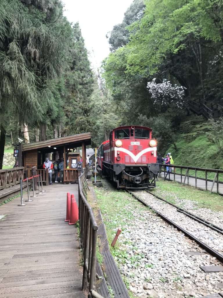 2021 04 08 12 阿里山 神木 車站