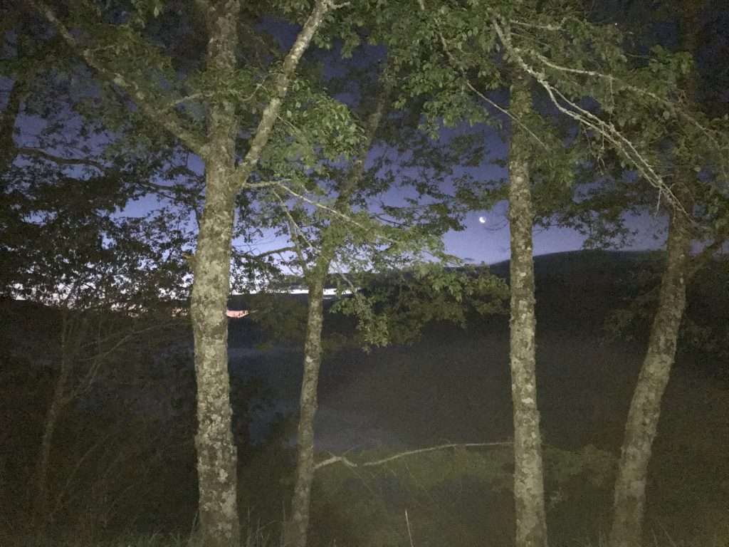 阿里山 對高岳 車站 2021 04 09 03