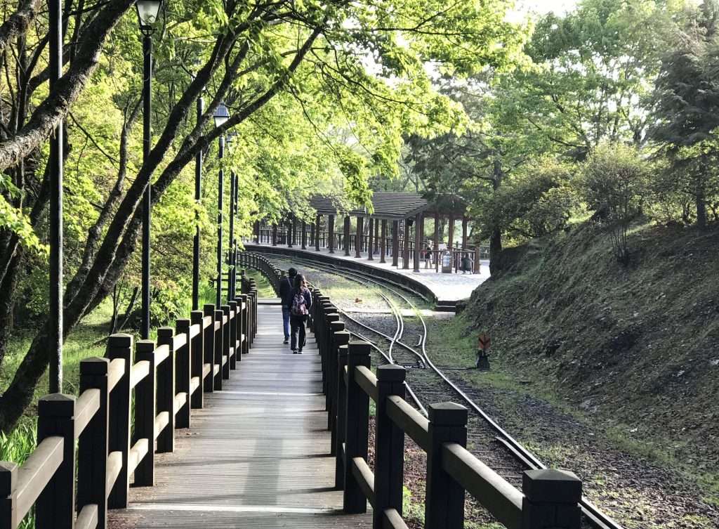 阿里山 對高岳 車站 2021 04 09 08