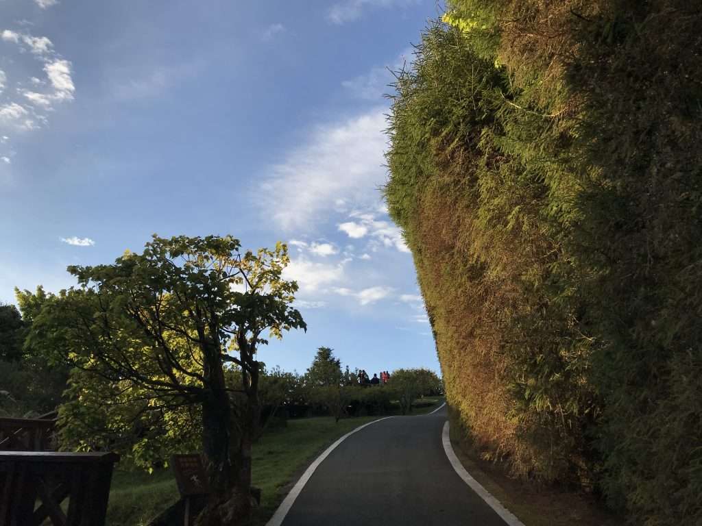 阿里山 小笠原山 2021 04 09 08