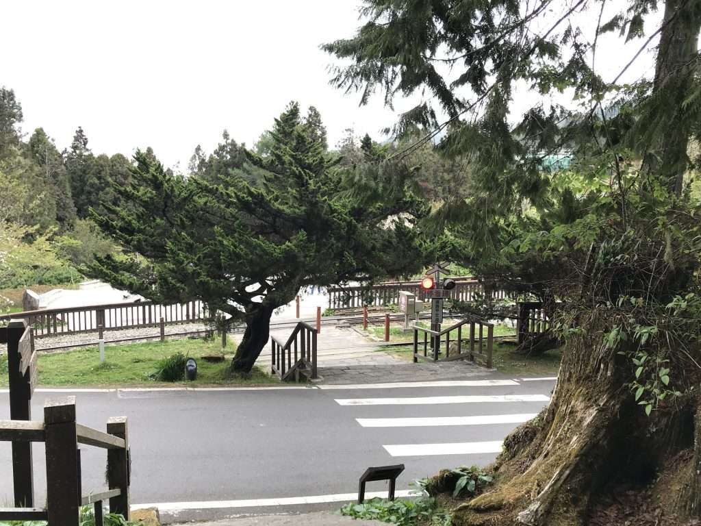 阿里山 沼平 車站 2021 04 09 07