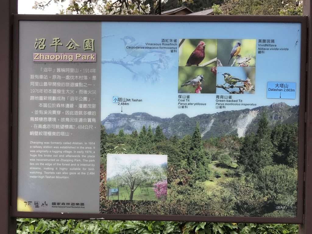 阿里山 沼平公園 2021 04 09 02