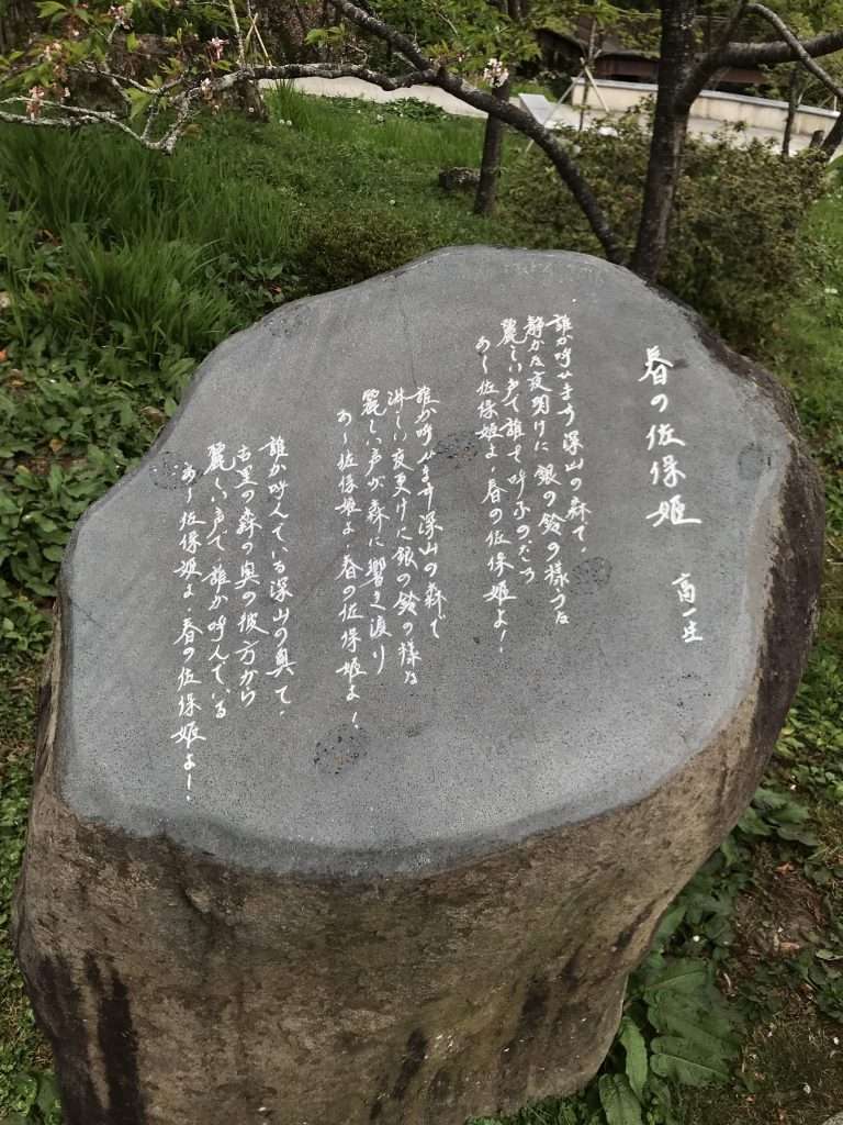 阿里山 沼平公園 2021 04 09 04