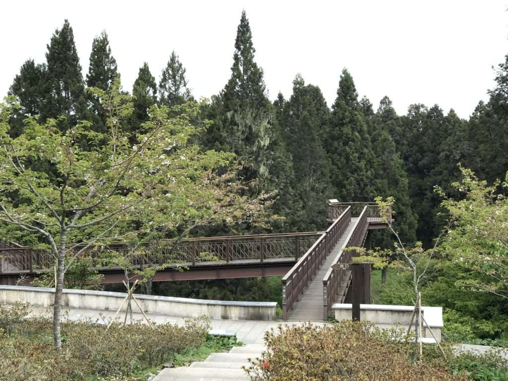 阿里山 沼平公園 2021 04 09 07