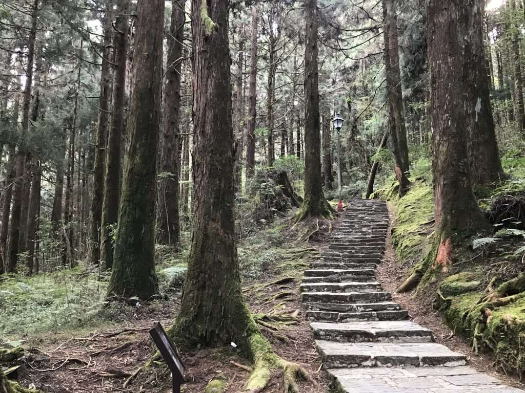 阿里山 祝山 觀日步道 2021 04 09 10