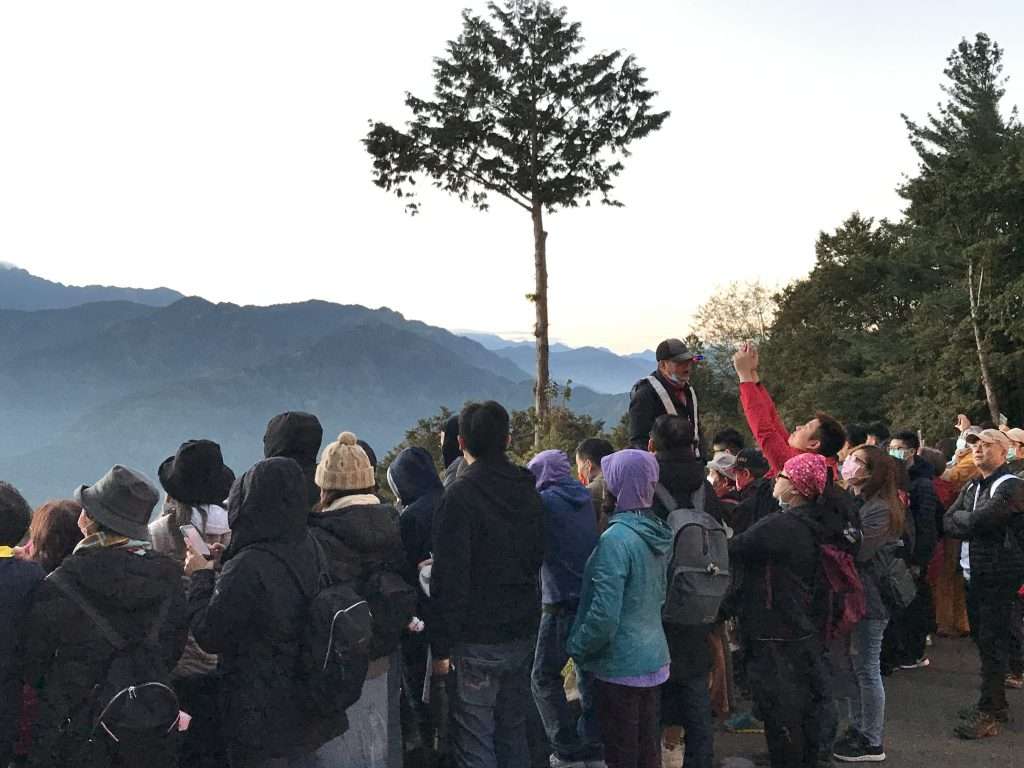 阿里山 祝山 觀日步道 2021 04 09 19