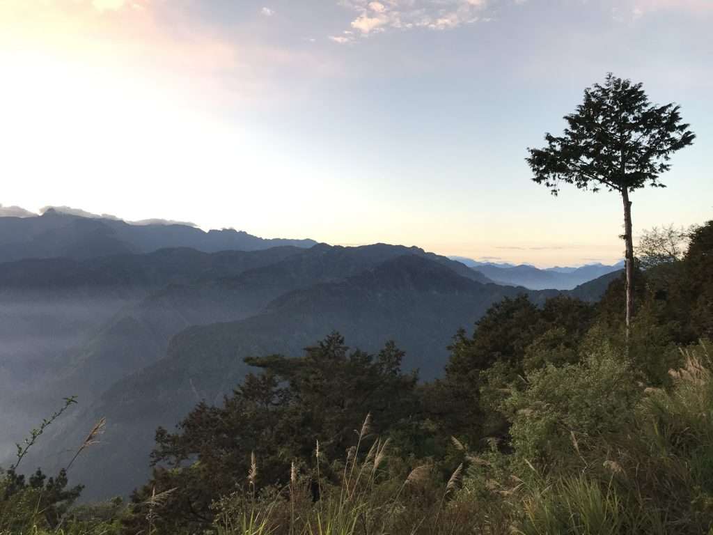 阿里山 祝山 觀日步道 2021 04 09 21