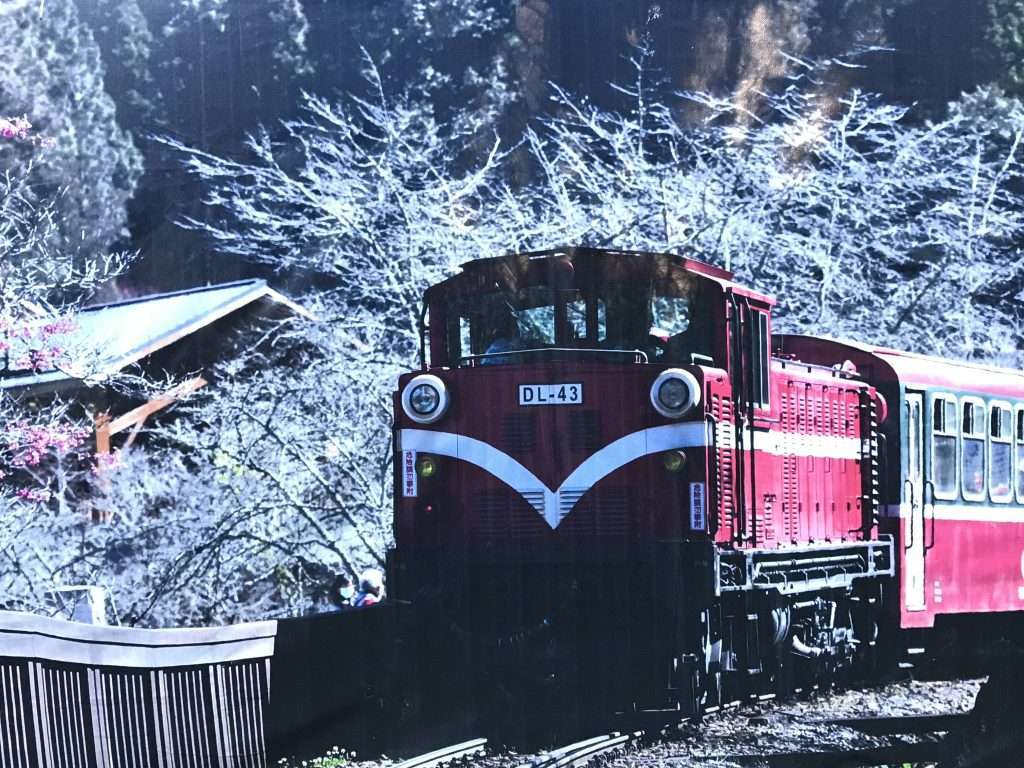 阿里山 祝山 車站 2021 04 09 01