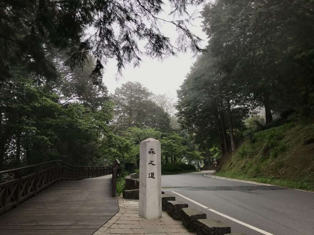 2021 04 08 21 阿里山 園區