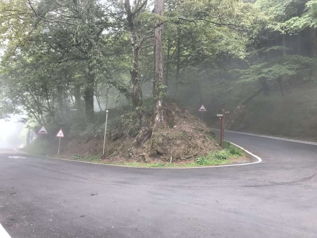 2021 04 08 23 阿里山 園區