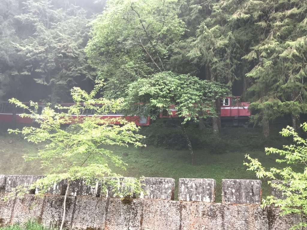 2021 04 08 24 阿里山 園區