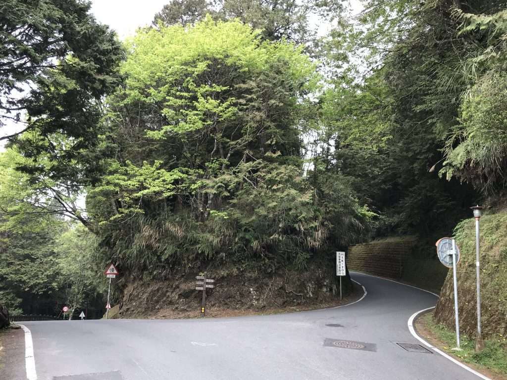 2021 04 08 26 阿里山 園區