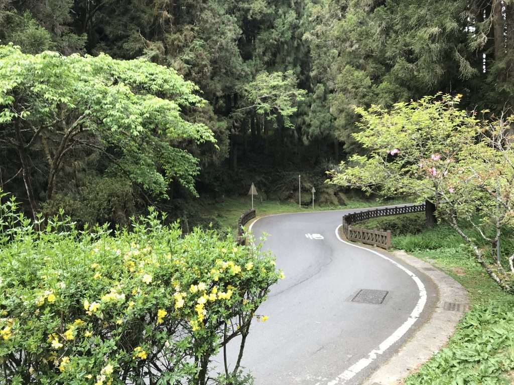 2021 04 09 159 阿里山 園區