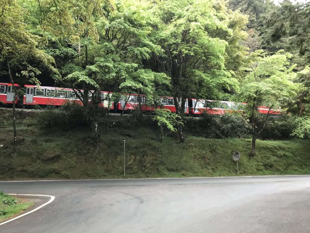 2021 04 09 163 阿里山 園區