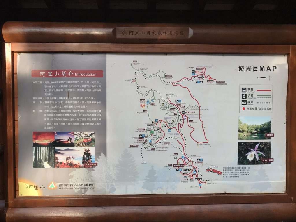 2021 04 09 53 阿里山