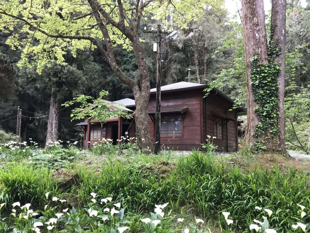 阿里山 一葉蘭生態故事館 2021 04 09 03