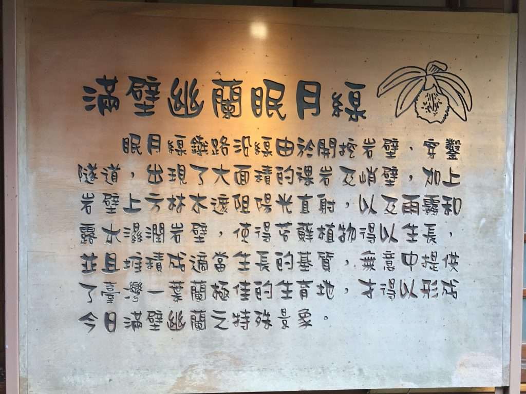 阿里山 一葉蘭生態故事館 2021 04 09 08