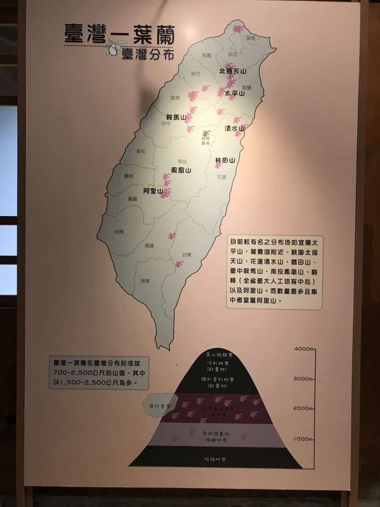 阿里山 一葉蘭生態故事館 2021 04 09 18