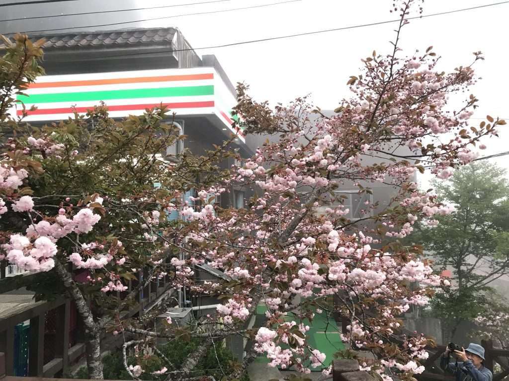 阿里山 小7 2021 04 08 04