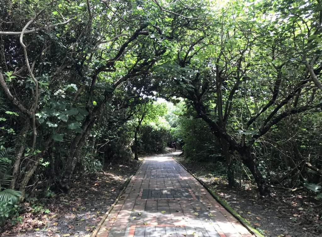 2021 08 22 26 台灣最南點