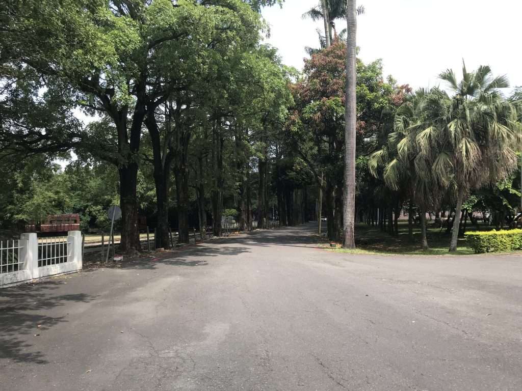 2021 09 21 06 後壁 烏樹林