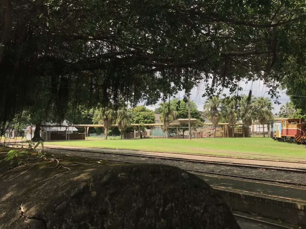 2021 09 21 11 後壁 烏樹林