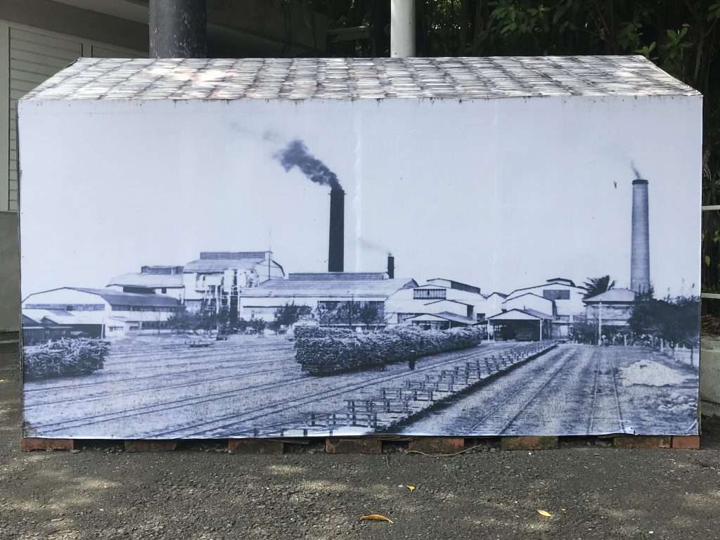 2021 09 21 14 後壁 烏樹林