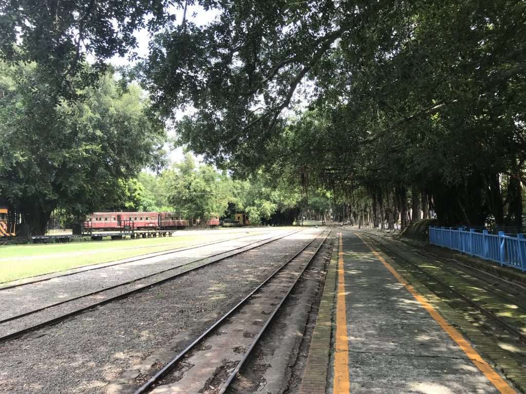 2021 09 21 37 後壁 烏樹林