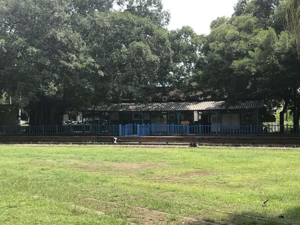 2021 09 21 49 後壁 烏樹林