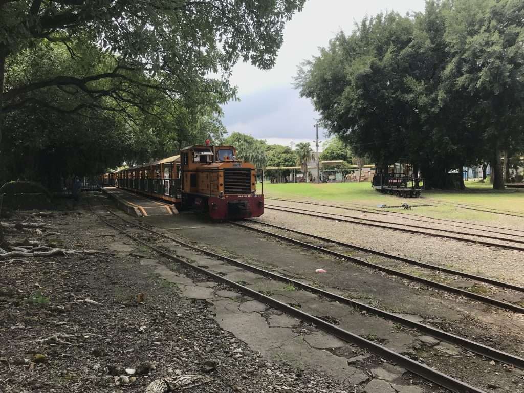 2021 09 21 71 後壁 烏樹林