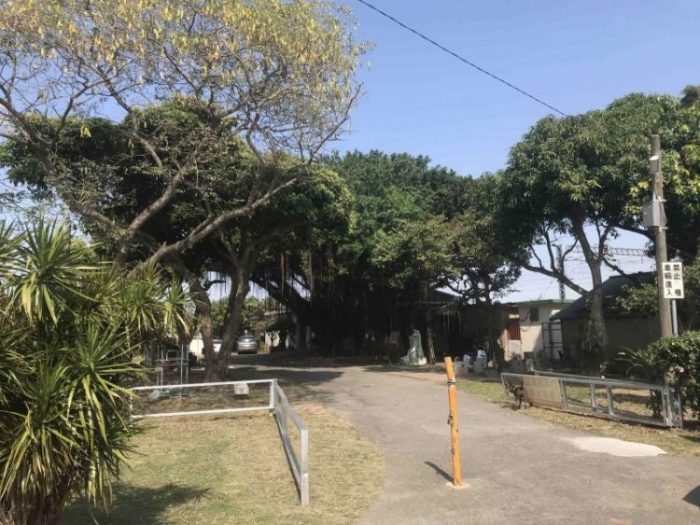 2022 02 05 01 南台南 車站 scaled e1645869787519