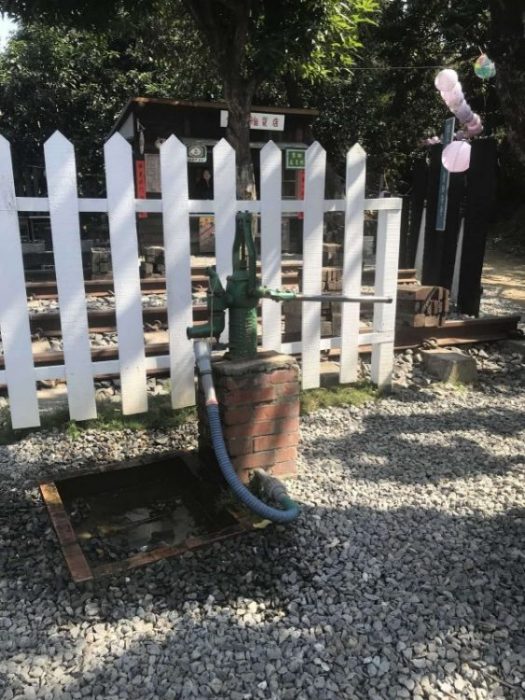 2022 02 05 37 牛稠子 scaled e1645867278183