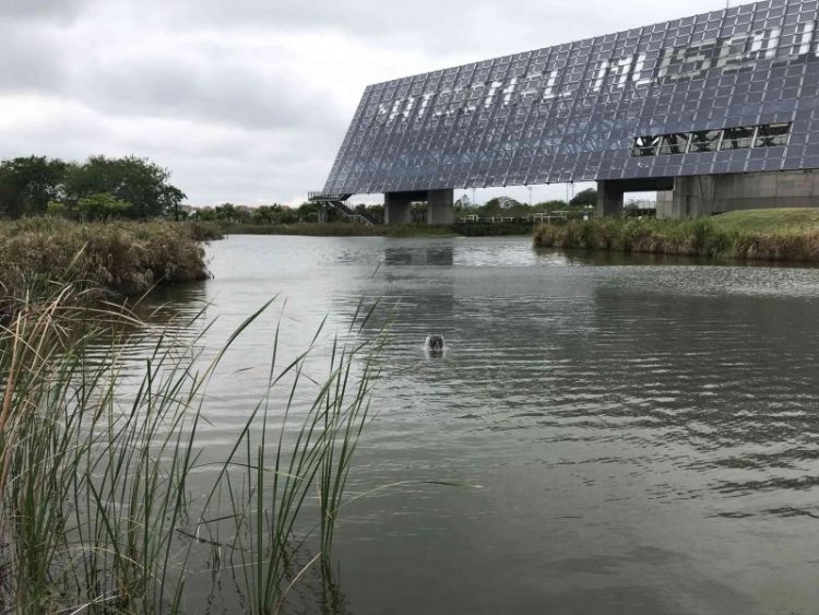 2022 03 02 22 國立臺灣歷史博物館 scaled e1648995458351