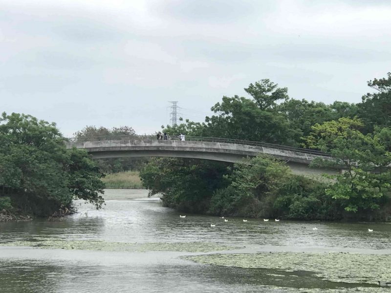 2022 03 02 35 國立臺灣歷史博物館 scaled e1648995051933