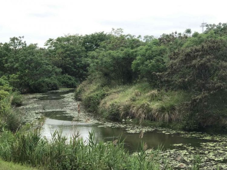 2022 03 02 36 國立臺灣歷史博物館 scaled e1648995368134