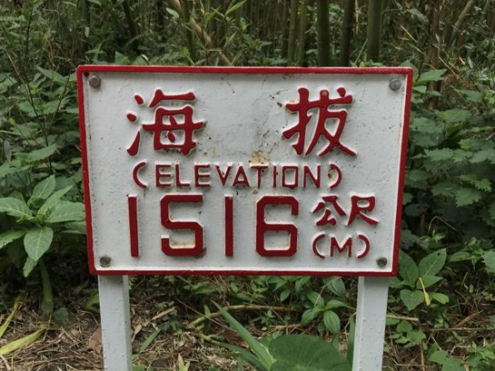 2022 03 13 01 多林 scaled e1647314938859