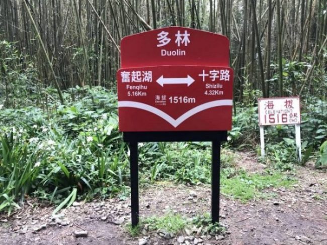 2022 03 13 02 多林 scaled e1647315013842