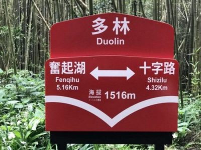 2022 03 13 03 多林 scaled e1647315053487