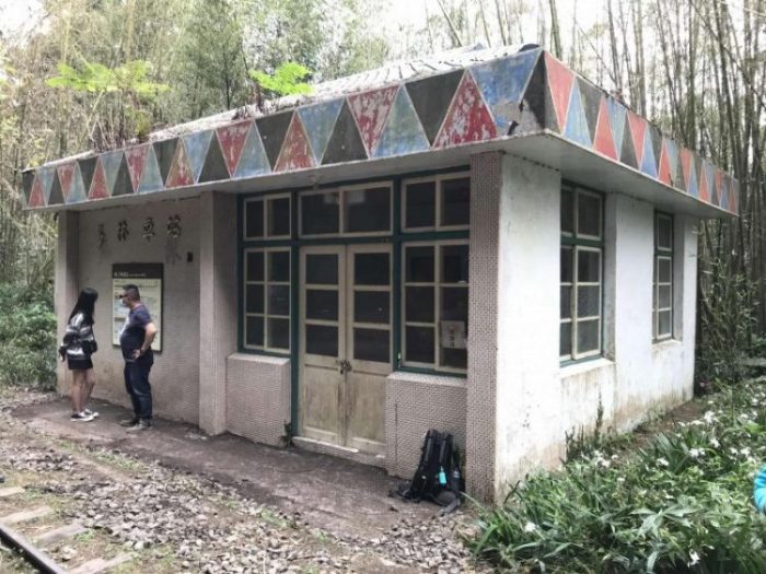 2022 03 13 05 多林 scaled e1647314904778