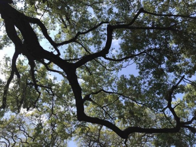 2022 03 13 12 R22A橋頭糖廠站 scaled e1647445642351