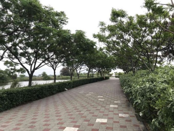 2022 04 02 06 台江國家公園、管理處 scaled e1648988568560