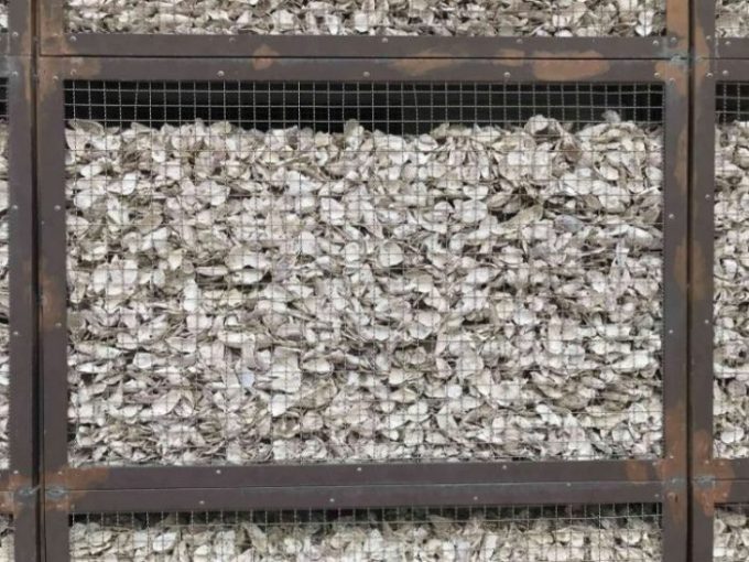 2022 04 02 31 台江國家公園、管理處 scaled e1648988703160