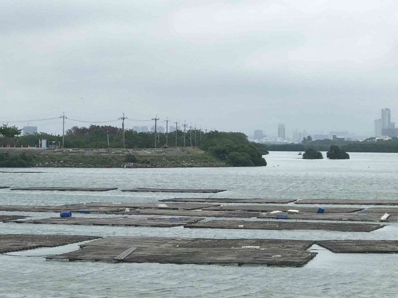 2022 04 02 36 台江國家公園、管理處 scaled e1648987884709