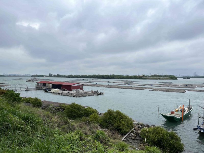 2022 04 02 38 台江國家公園、管理處 scaled e1648987862226