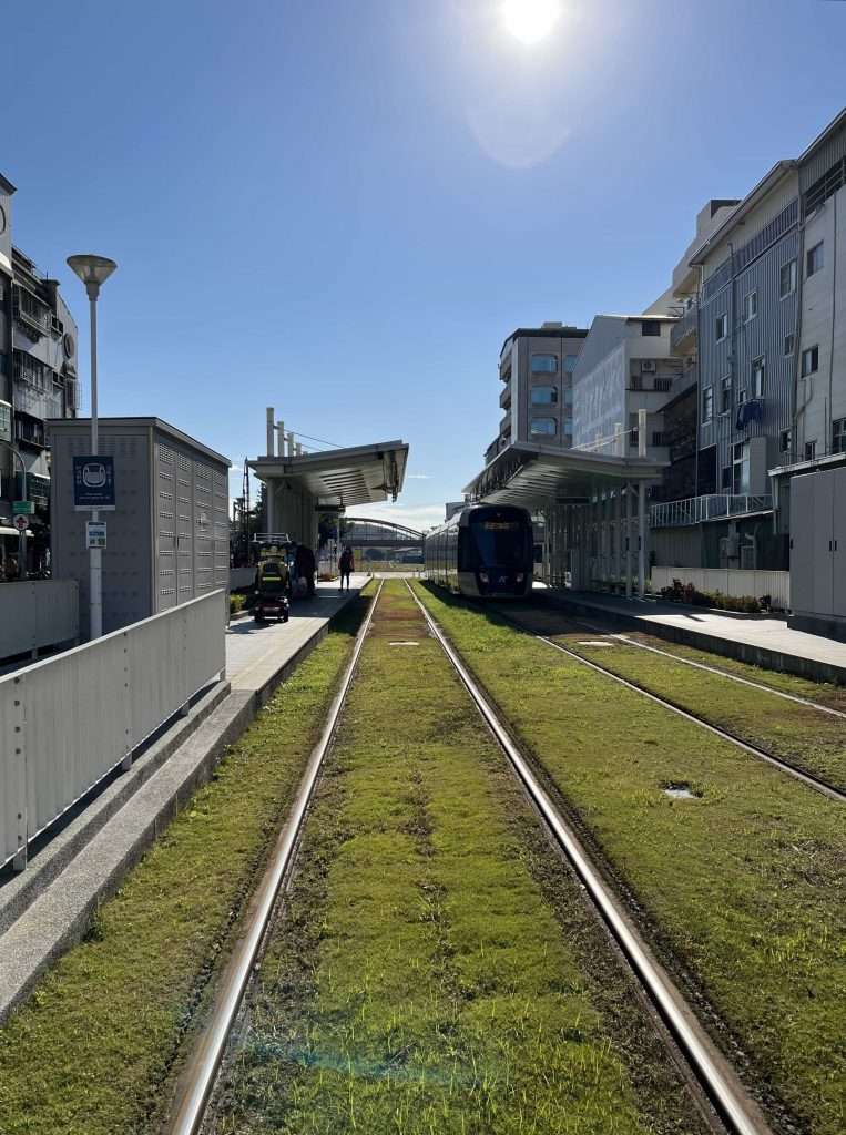 2022 01 01 10 C15壽山公園