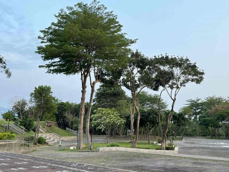 2022 04 16 11 南橫、玉井