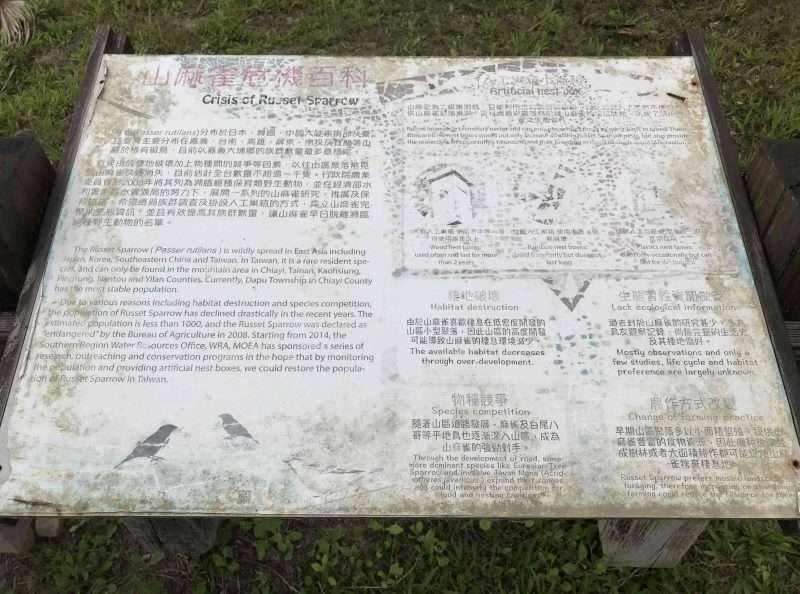 2022 04 16 43 情人公園