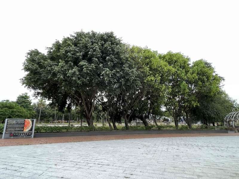 2022 04 16 61 北回歸線