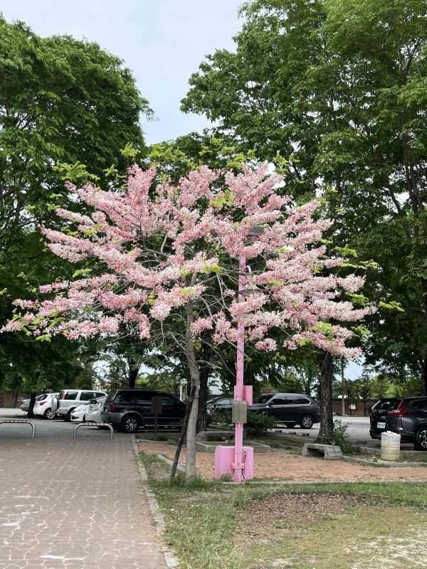 2022 04 16 62 北回歸線