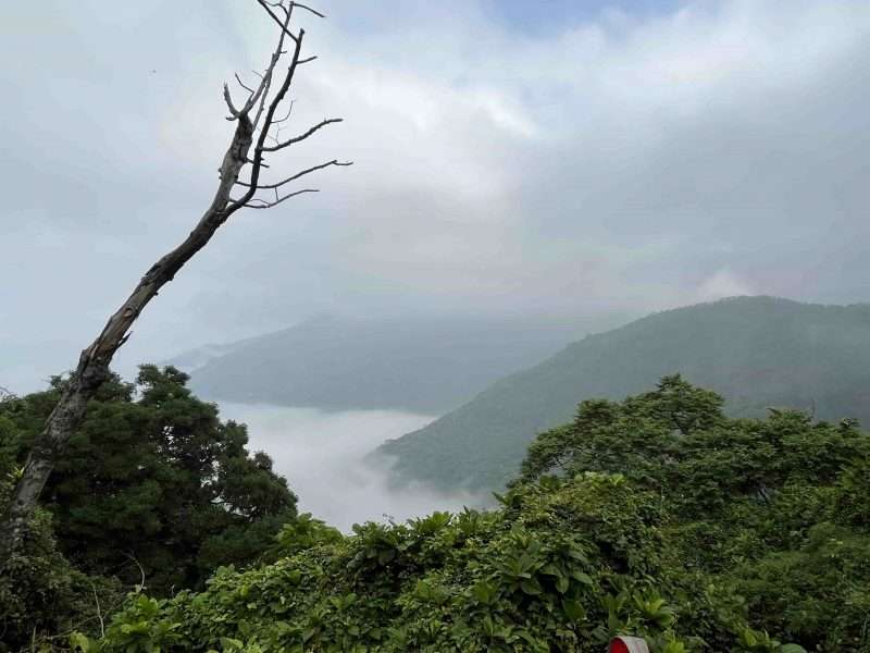 2022 04 30 03 源興宮